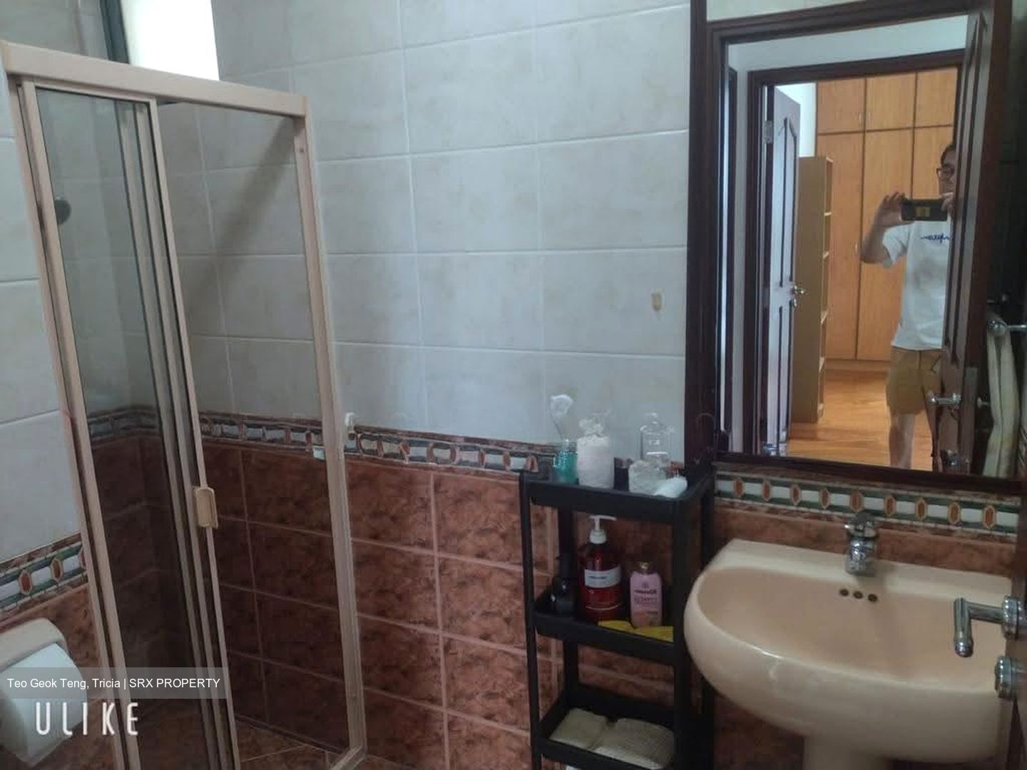 Tanglin Regency (D10), Condominium #607383811